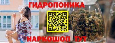 стаф Усть-Илимск